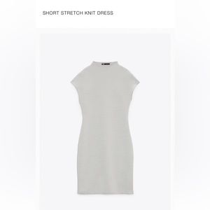 Zara Short Knit Dress